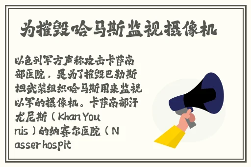 91精品国产欧美一区二区